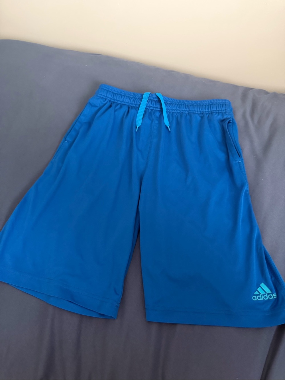 adidas Men's Bright Blue Athletic Shorts with Logo